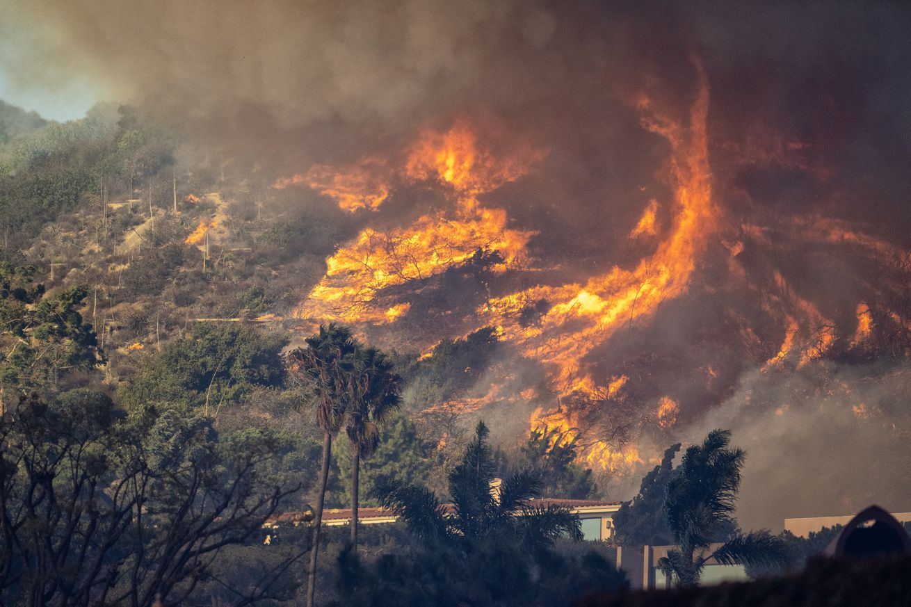 Palisades Fire, Los Angeles