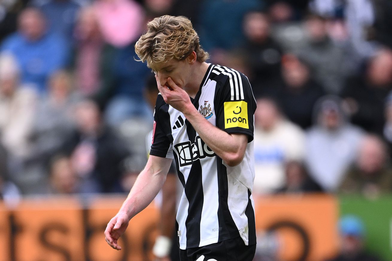 Newcastle United v Brighton &amp; Hove Albion - Emirates FA Cup Fifth Round